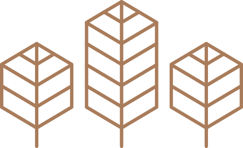 Icon logo